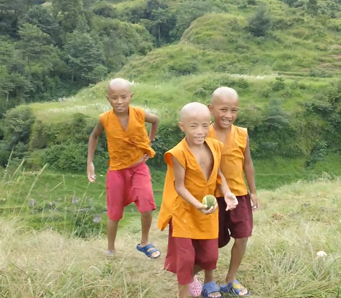 Pema Ts'al Baby Monks